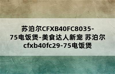 苏泊尔CFXB40FC8035-75电饭煲-美食达人新宠 苏泊尔cfxb40fc29-75电饭煲